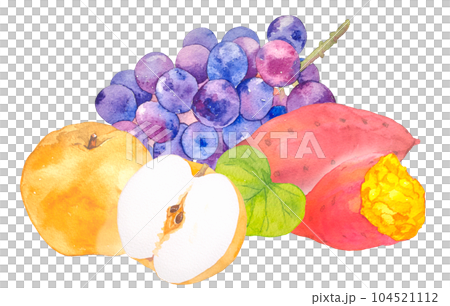 秋の味覚ブドウと梨とさつまいもの贈り物水彩イラスト 104521112