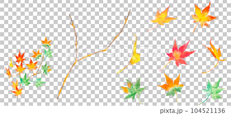 Set illustration of beautiful autumn leaves drawn by watercolor 104521136