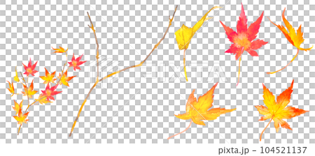 Set illustration of beautiful autumn leaves drawn by watercolor 104521137