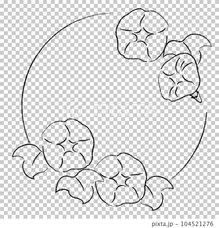 Morning glory illustration frame Morning glory illustration frame 104521276