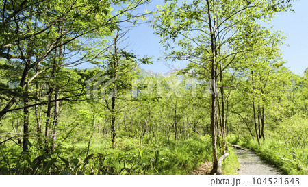 長野県の名所国立公園上高地の初夏(快晴) 長野県の名所国立公園上高地の初夏(快晴) 104521643