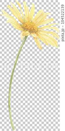 Yellow flower hand-drawn in watercolor. Yellow flower hand-drawn in watercolor. 104522139