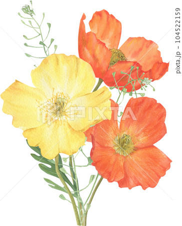 Composition of summer flowers hand-drawn in watercolor. Composition of summer flowers hand-drawn in watercolor. 104522159