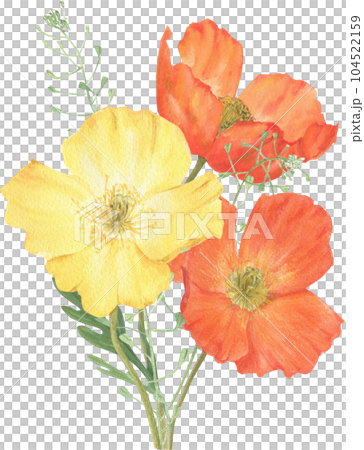 Composition of summer flowers hand-drawn in watercolor. Composition of summer flowers hand-drawn in watercolor. 104522159