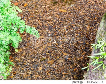 初夏の爽やかな景色 豊かな緑を育む国分寺崖線から湧き出た湧水 初夏の爽やかな景色 豊かな緑を育む国分寺崖線から湧き出た湧水 104522384