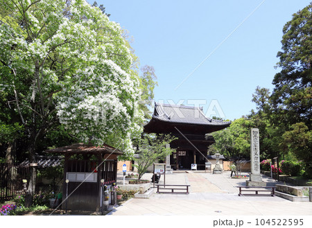 鶴林寺 仁王門(兵庫県 加古川市) 鶴林寺 仁王門(兵庫県 加古川市) 104522595