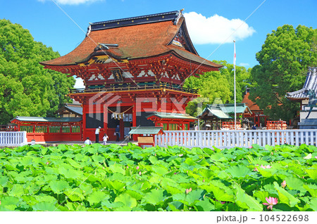 岡崎市、伊賀八幡宮と蓮の風景 岡崎市、伊賀八幡宮と蓮の風景 104522698