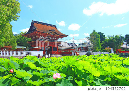 岡崎市、伊賀八幡宮と蓮の風景 岡崎市、伊賀八幡宮と蓮の風景 104522702