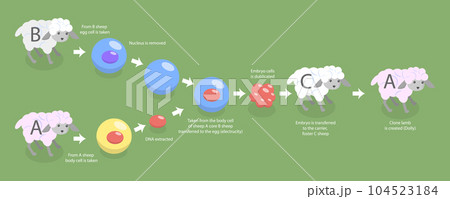 3D Isometric Flat Vector Conceptual Illustration of Animal Cloning 104523184