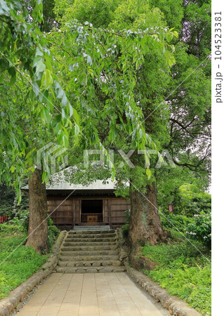 青梅市塩船観音寺  青梅市塩船観音寺  104523381