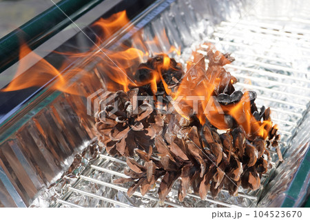 炭の着火剤（松ぼっくり）11 104523670