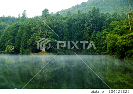 岩尾池の一本杉【 滋賀県指定自然記念物 】 / 滋賀県甲賀市 岩尾池の一本杉【 滋賀県指定自然記念物 】 / 滋賀県甲賀市 104523825