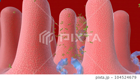 Covid-19 Immune Response with Vaccination, Antibodies Covid-19 Immune Response with Vaccination, Antibodies 104524679