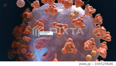 COVID-19 Inactivated, Protein Based Vaccines 104524686