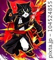 Ninja Assassin Cat 104524855