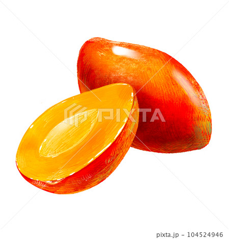 手描きフルーツ イラスト マンゴー(まんごー、芒果)半分 種ありセット 104524946