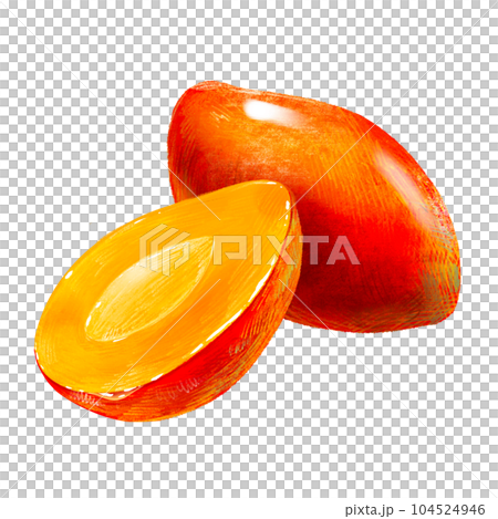 手描きフルーツ イラスト マンゴー(まんごー、芒果)半分 種ありセット 104524946