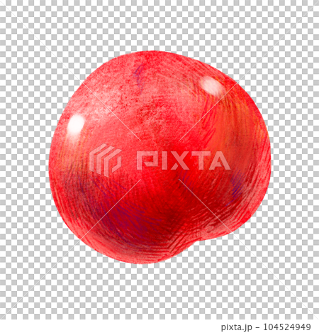 手繪水果插畫李子（梅、李） 104524949