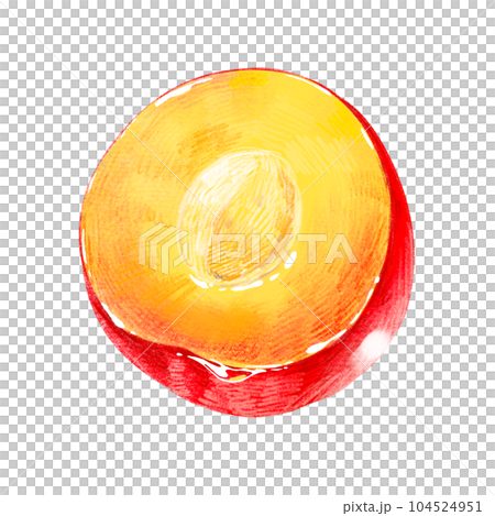 Hand-painted fruit illustration Plum (plum, Li) half with seeds 104524951
