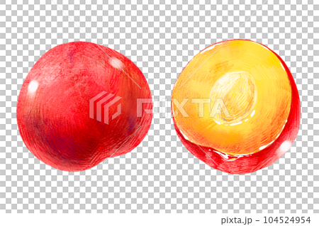 手繪水果插畫李子（梅、李）半籽2件套 104524954