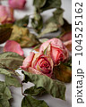 Romantic background with 2 pink dried rose buds and withered leaves. Two beautiful dead flowers close-up as a concept of passed time, sadness, depression. Selective focus on the central flower 104525162