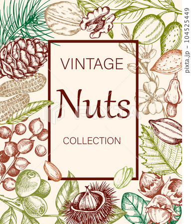 Vintage background with various nuts. Vintage background with various nuts. 104525449