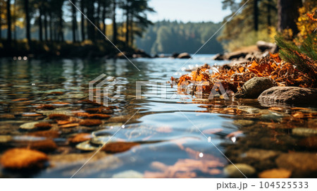 秋の森の湖の湖面から見た景色。水面には木々と空が映っている。水面には落ち葉が見える。：精緻CG