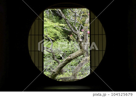 雲龍院　悟りの窓 104525679