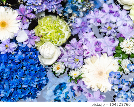 初夏のカラフルで楽しい花手水 104525760