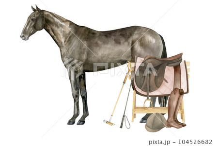 Watercolor illustration of a standing English Thoroughbred bay horse. Isolated. Equestrian equipment saddle, saddle pad, brown leather boots, helmet, horse polo sticks 104526682