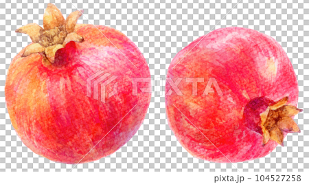 Pomegranate illustration drawn in watercolor Whole fruit Pomegranate illustration drawn in watercolor Whole fruit 104527258