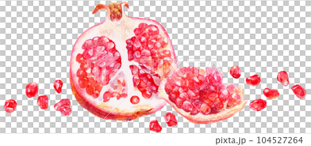 水彩で描いたザクロのイラスト　たくさんの果肉と散らばった粒 104527264
