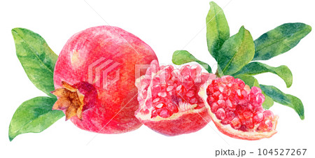 水彩で描いたザクロの実と果肉のイラスト　背景に葉　横並び 104527267