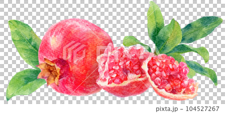 水彩で描いたザクロの実と果肉のイラスト　背景に葉　横並び 104527267