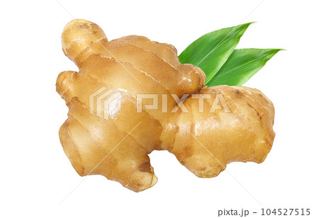 生姜 イラスト リアル セット 生姜 イラスト リアル セット 104527515