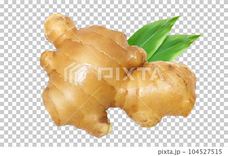 生姜 イラスト リアル セット 生姜 イラスト リアル セット 104527515