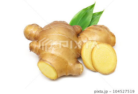 生姜 イラスト リアル セット 生姜 イラスト リアル セット 104527519