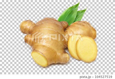 生姜 イラスト リアル セット 生姜 イラスト リアル セット 104527519