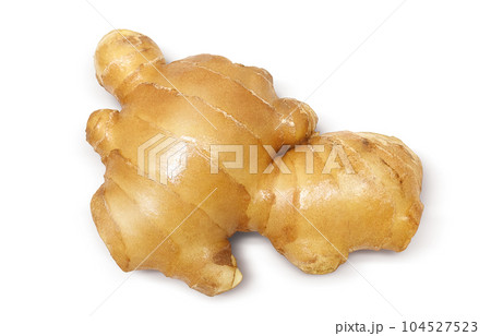 生姜 イラスト リアル セット 生姜 イラスト リアル セット 104527523