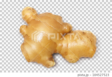 姜插畫實景套裝 104527523