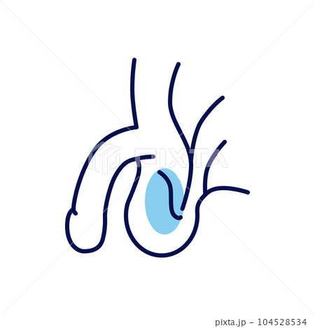 Male Reproductive System Vector Line Icons 104528534