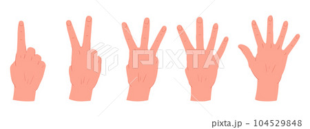 Counting hands gestures. Cartoon hand palms with count from one to five gestures. Human hands with countdown gestures flat vector illustration set 104529848