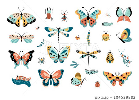 Isolated insects, butterfly and caterpillars. Beetle garden, funny decorative butterflies. Nature wildlife elements, bug nowaday vector clipart Isolated insects, butterfly and caterpillars. Beetle garden, funny decorative butterflies. Nature wildlife elements, bug nowaday vector clipart 104529882