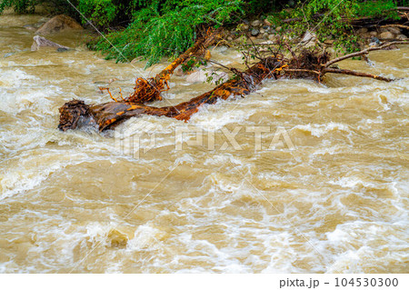 【自然災害】濁流・大雨の後の川【長野県】 104530300