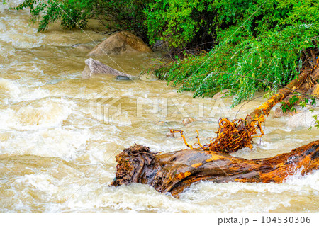 【自然災害】濁流・大雨の後の川【長野県】 104530306