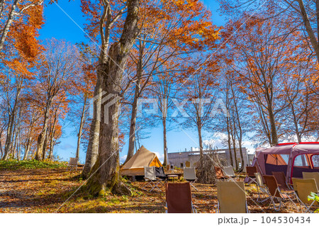 【キャンプ素材】秋のキャンプ風景【長野県】 104530434
