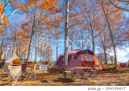 【キャンプ素材】秋のキャンプ風景【長野県】 【キャンプ素材】秋のキャンプ風景【長野県】 104530437