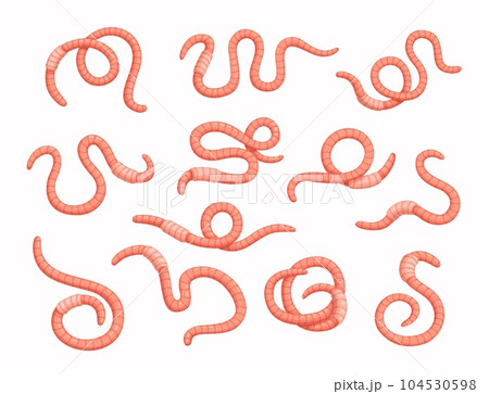 Cartoon worms, soil earthworms, garden ground insects. Cartoon vector set of beneficial organisms enhance soil structure and fertility. They tunnel through the soil, aerating it and improving drainage Cartoon worms, soil earthworms, garden ground insects. Cartoon vector set of beneficial organisms enhance soil structure and fertility. They tunnel through the soil, aerating it and improving drainage 104530598