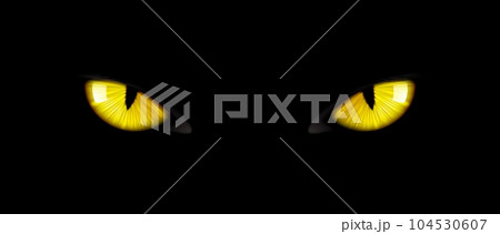 Black cat eyes, yellow glowing, intense, striking and mesmerizing panther pupils pierce through the darkness, evoking mystery, felines enigmatic power and enchantment. Vector Halloween background Black cat eyes, yellow glowing, intense, striking and mesmerizing panther pupils pierce through the darkness, evoking mystery, felines enigmatic power and enchantment. Vector Halloween background 104530607