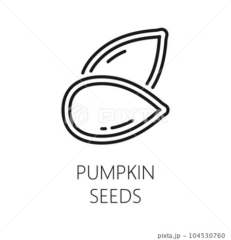 Pumpkin seed in white shell isolated outline icon. Vector gourd grain, natural dieting food dessert, edible nutrition squad seed rich in protein Pumpkin seed in white shell isolated outline icon. Vector gourd grain, natural dieting food dessert, edible nutrition squad seed rich in protein 104530760